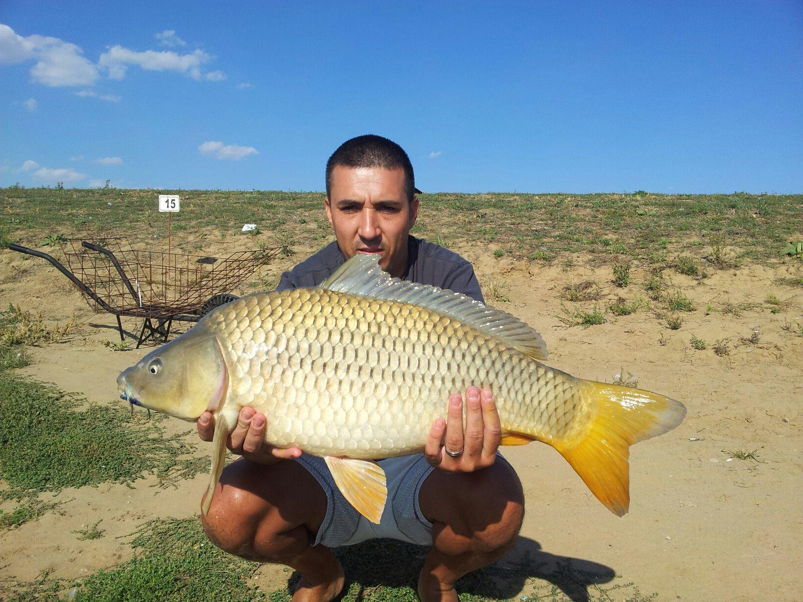 Giris de cris 9 - 9 aug. - 2430274725453161133251184512445o.jpg